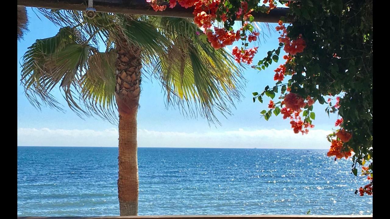 Mi Capricho 9C Beachfront- Apartment With Sea View - Costa Del Sol La Cala De Mijas Ngoại thất bức ảnh